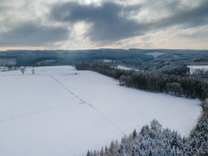 La vie en rose hotel WINTER